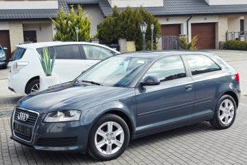 ___Ambiente___1.9TDi 105KM S-Tronic___Climatronic Skóra Toffi - Unikat